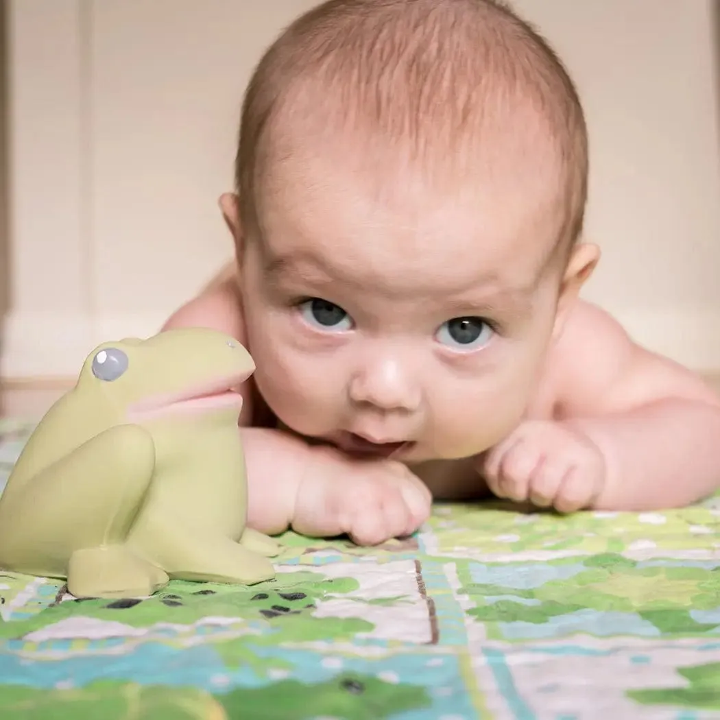 Gemba the Frog Natural Rubber Teether, Rattle & Bath Toy