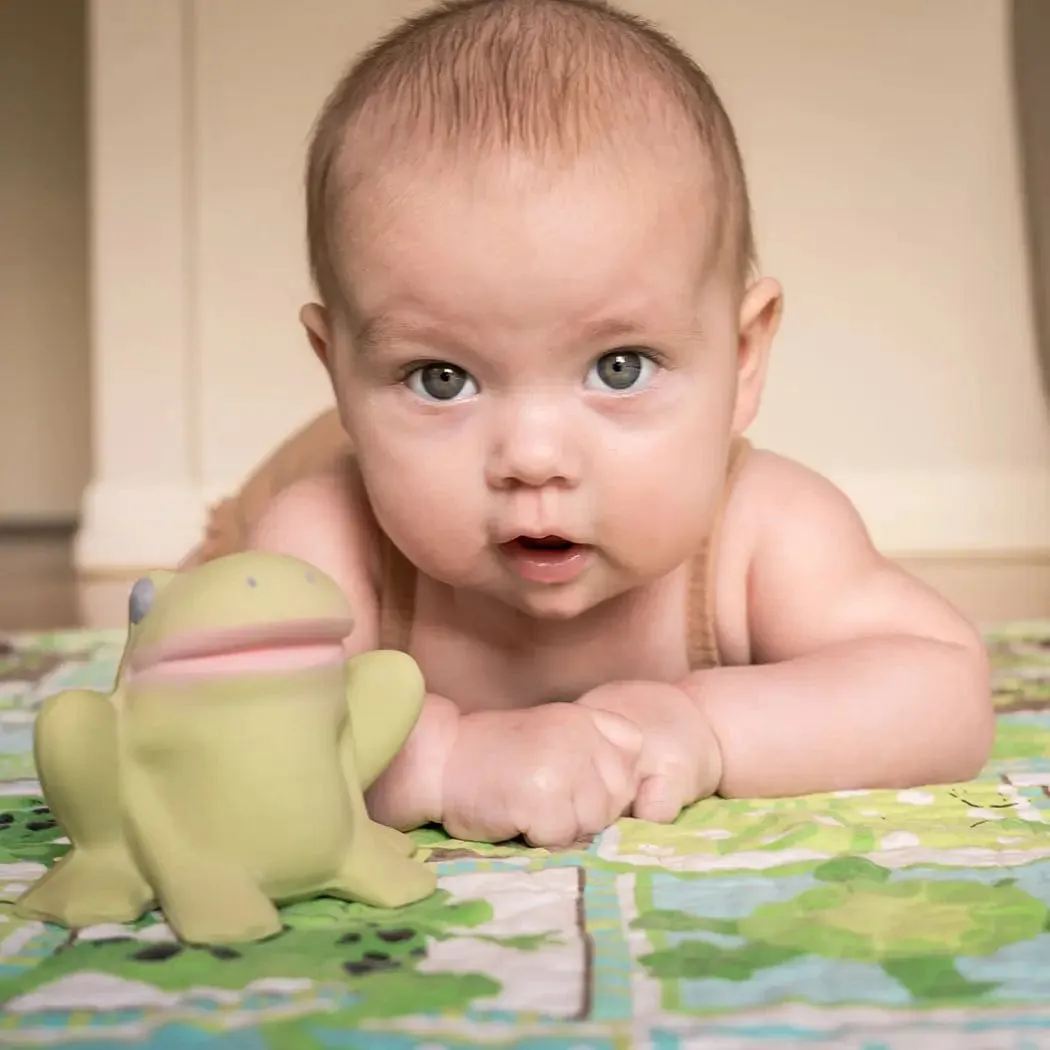 Gemba the Frog Natural Rubber Teether, Rattle & Bath Toy