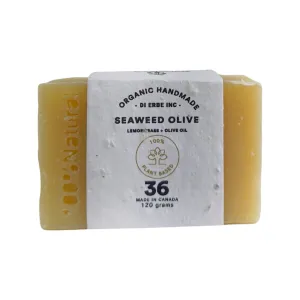 Seaweed Bar