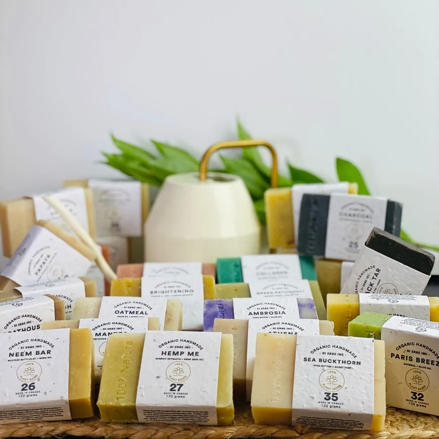Seaweed Bar