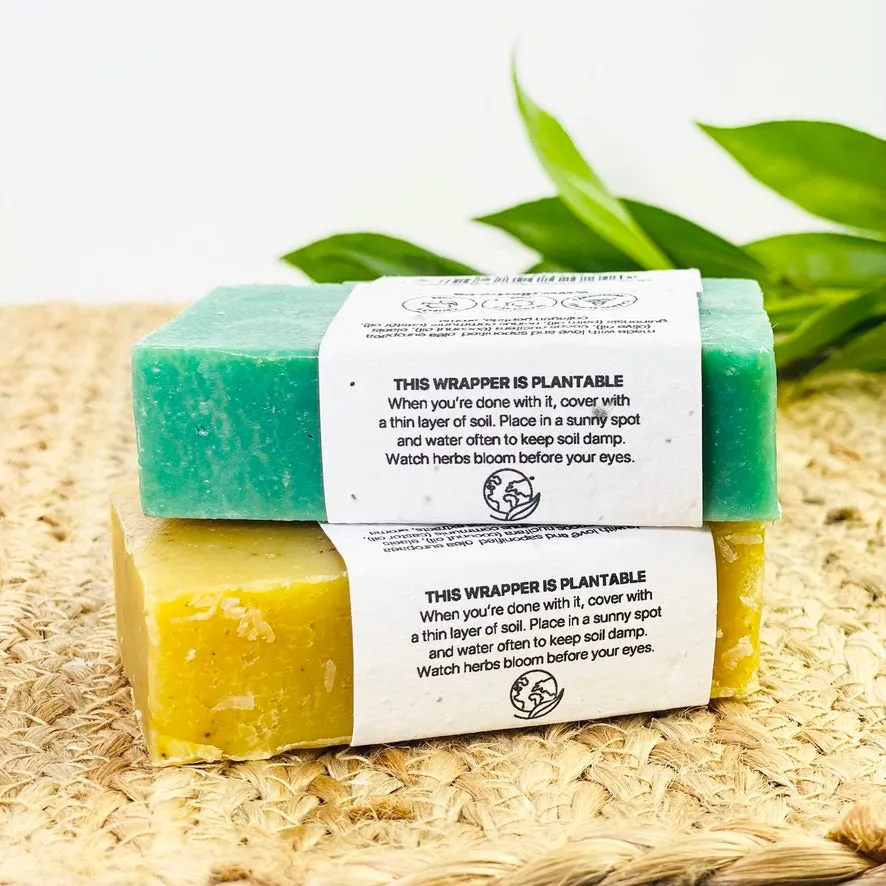 Seaweed Bar